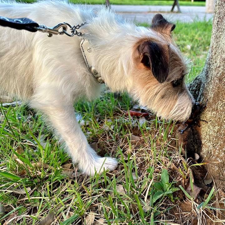 4816c37a 5eee 4ad0 9331 bdbe2dbe1ac5 1724765255987