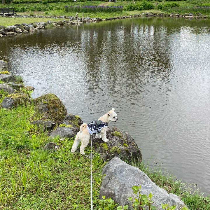 4816c4f1 879a 4e52 8ee0 7991132c47d6 1621940579612