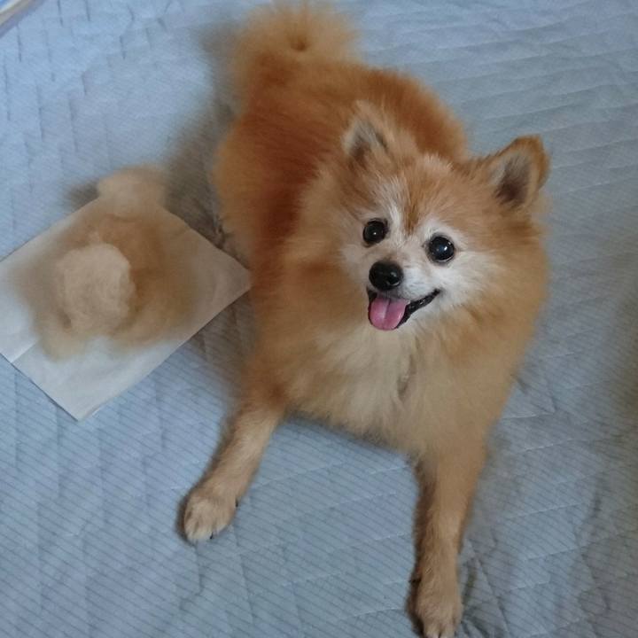 4816d5bd f1a1 46bb 9ed7 b7fb3a7a09e8 1564786081496