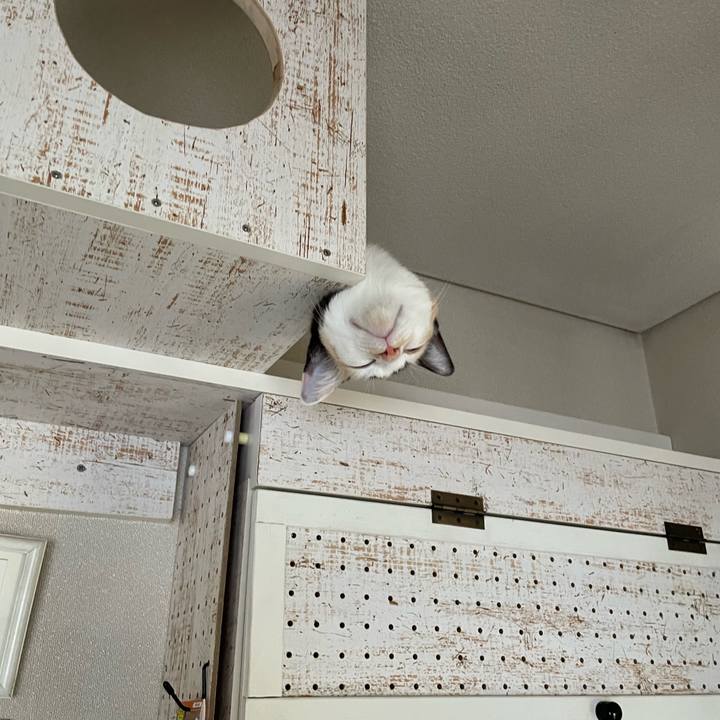 4816fdc5 ec86 4338 8a1d 9519298405a8 1675659415938