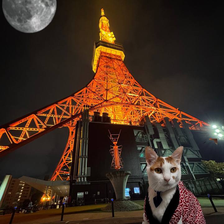 4817254b 174d 4639 becf 17f411d4ecfd 1760152990130