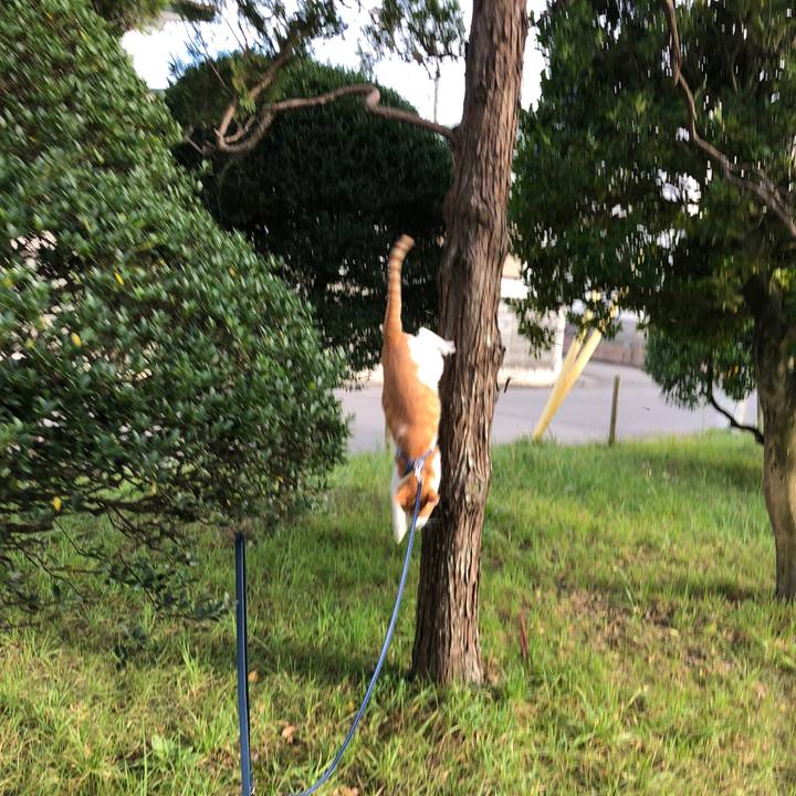 48173dd1 c970 4960 86af 760e78b5b189 1540095163318