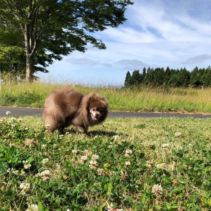 48176b97 e5bd 452a aad0 c55fee788d21 1625358357560