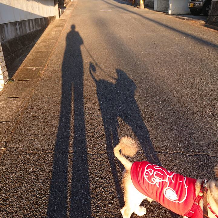 481790df 2605 4aa6 8550 98fa315d706f 1606778863781