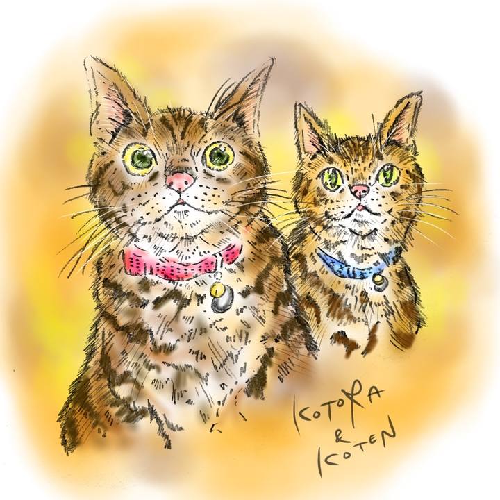 4817967c 47e1 4bb8 8421 61775c8a13c6 1592579086830