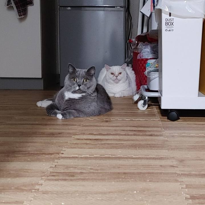 481796b9 ffa8 4ff9 979b 2286de87b4f6 1655810279300