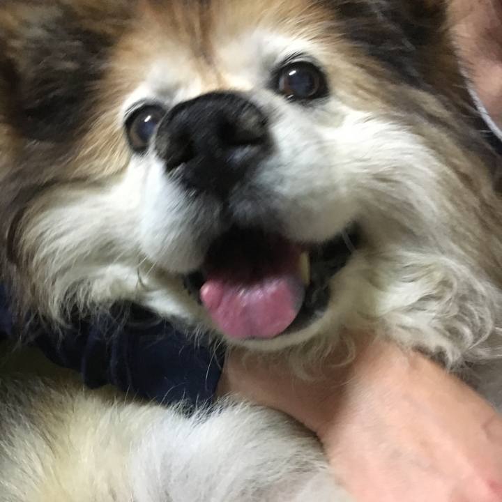 4817c27c 5e73 4484 814f c150beca91aa 1626021819039