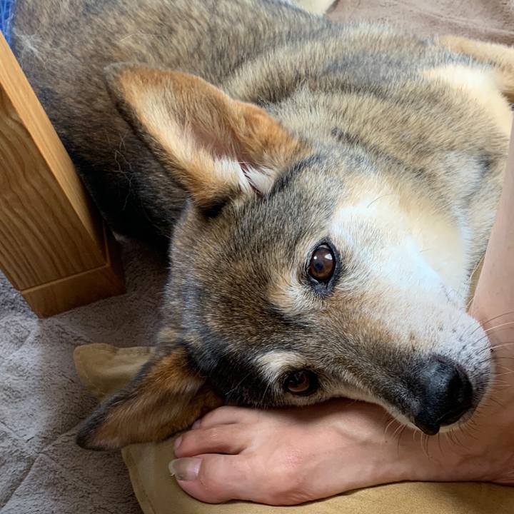 4817dc64 b43d 48b7 9e70 dce953b72699 1567288148342