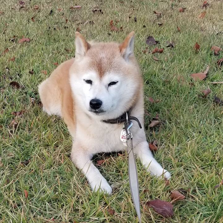 4817e6de bd91 4c95 8e57 0825beec4206 1698219120236