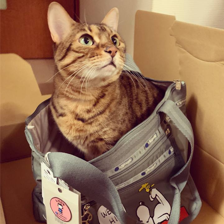 48180cc7 4a62 4680 8433 47e8956e8230 1579734438223