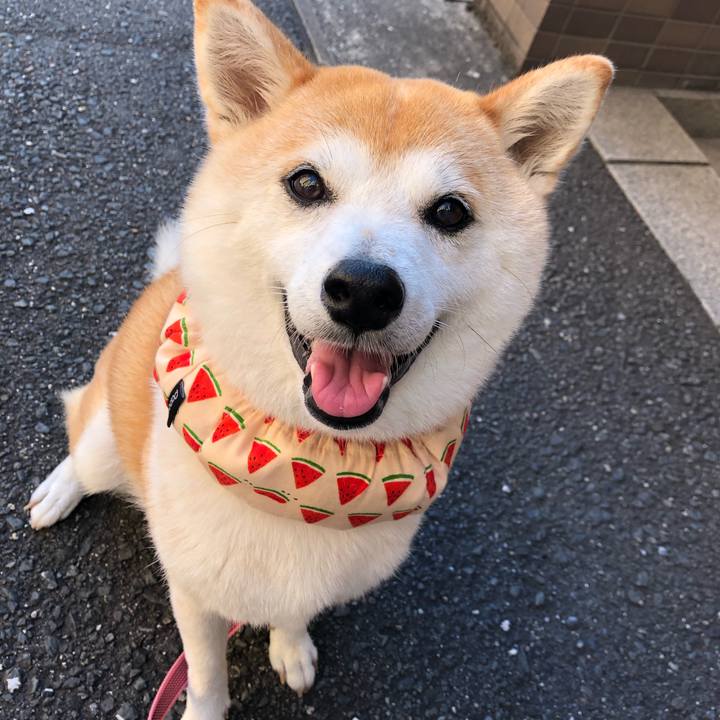 48181cbc 8576 41ae a32f 635176dbfe9a 1626818466708