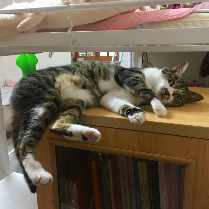 481832d6 3c18 40bd 9f44 ff4e982c1f4c 1535028898181