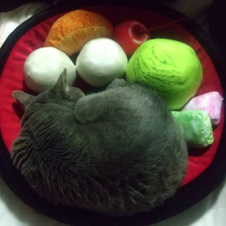 48183a54 05a3 431d 87bc d2258bbd6311 1671293209099