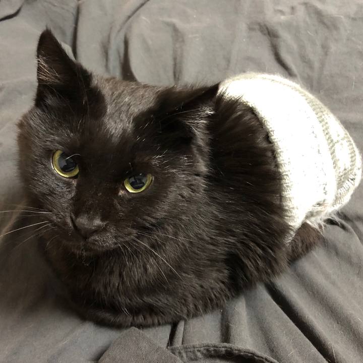 48184d6f 03a8 421f a445 78fe6ead420d 1605172894111