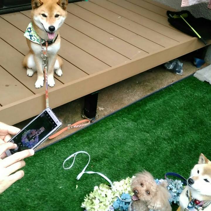 48185037 e1ab 405e 8884 720296278134 1562315460217