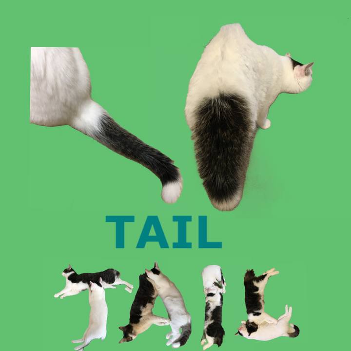 481875e7 adf5 48ed 96a3 e52a3ab714ba 1666822562704