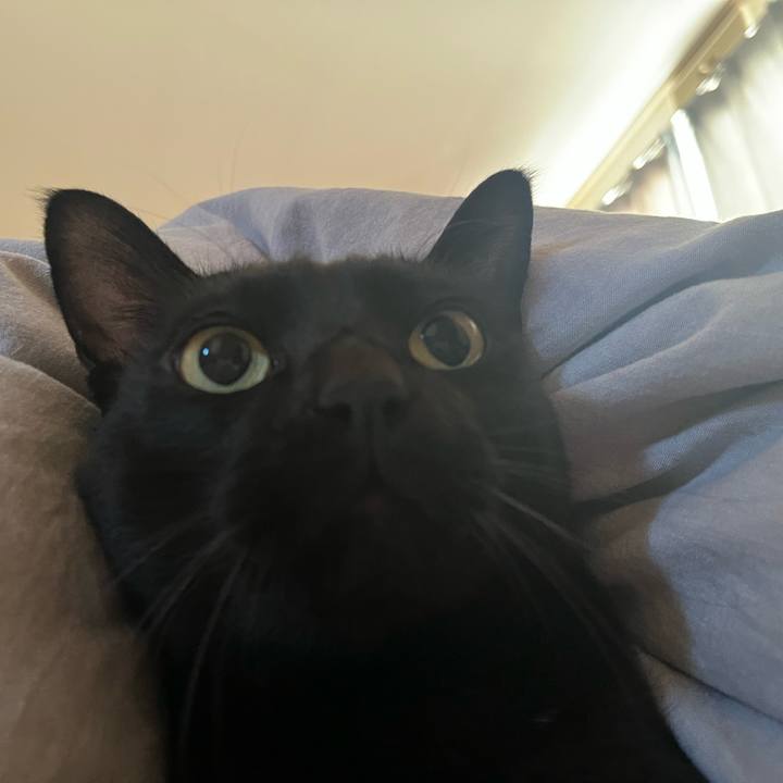 481894c1 fda1 4784 b738 59a6866f0913 1767252462010