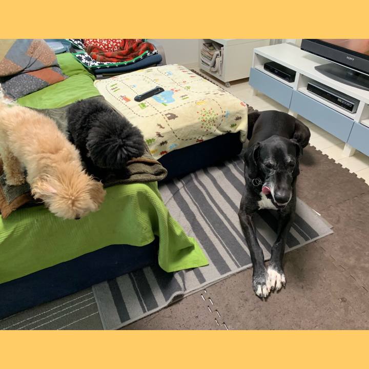 4818991b 4784 4f0b 97b4 13de505d451a 1553726525276