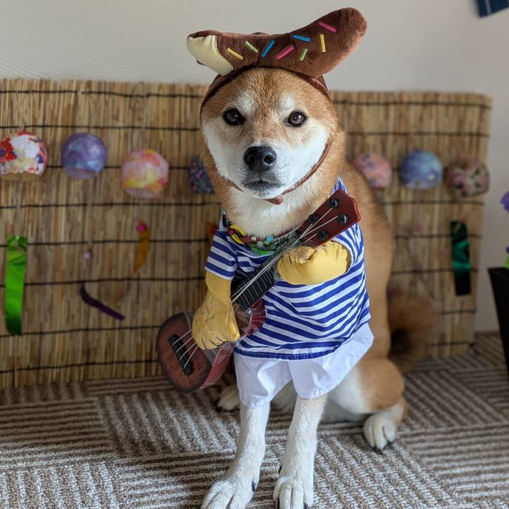 4818bc90 d540 4713 9641 8d2ff951386e 1755311870182