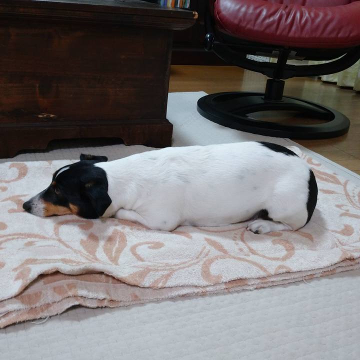 4818bd4c 7e18 4642 a697 0f8da8de5cf5 1640180010894