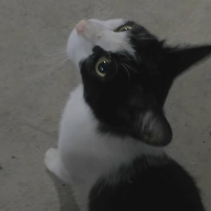 48191615 449a 404d 9507 f7556910d85c 1529670025205