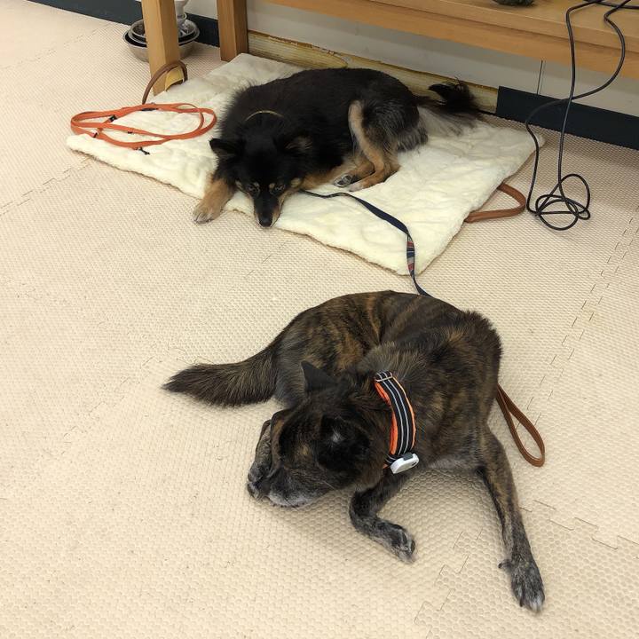 481988a5 0d5a 4441 89bf 763bf97e0238 1607863812603