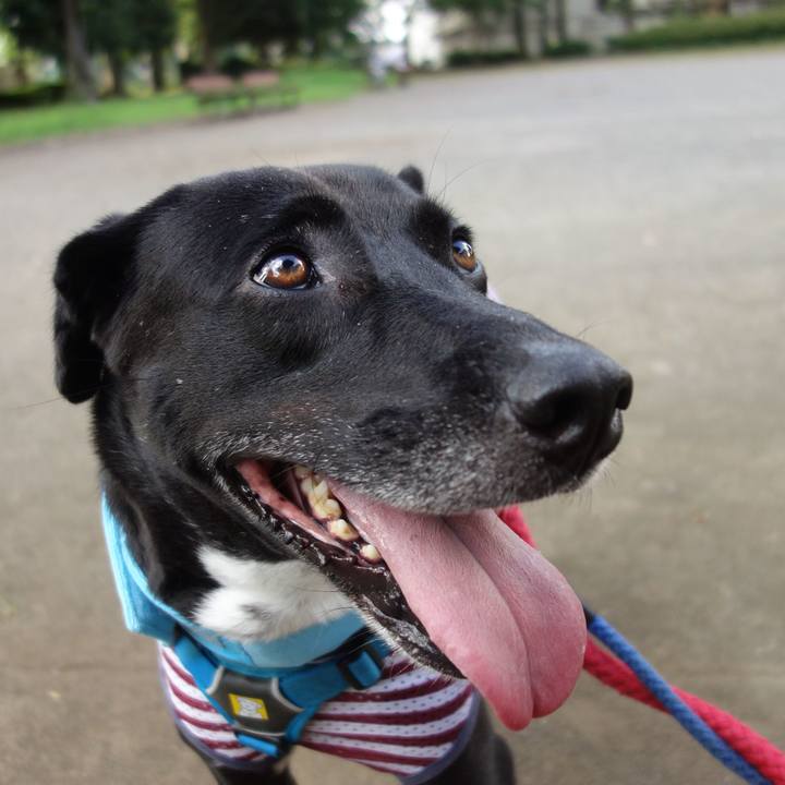 4819cdc2 e121 4559 94db 64ae8c906814 1627086447552