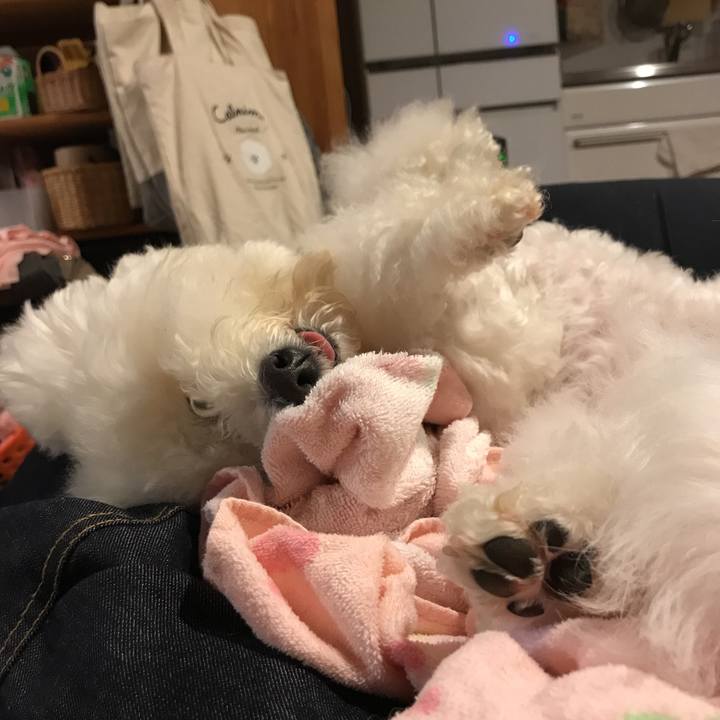 4819d734 3e62 44ab 8ec9 4f5737487905 1552219182487