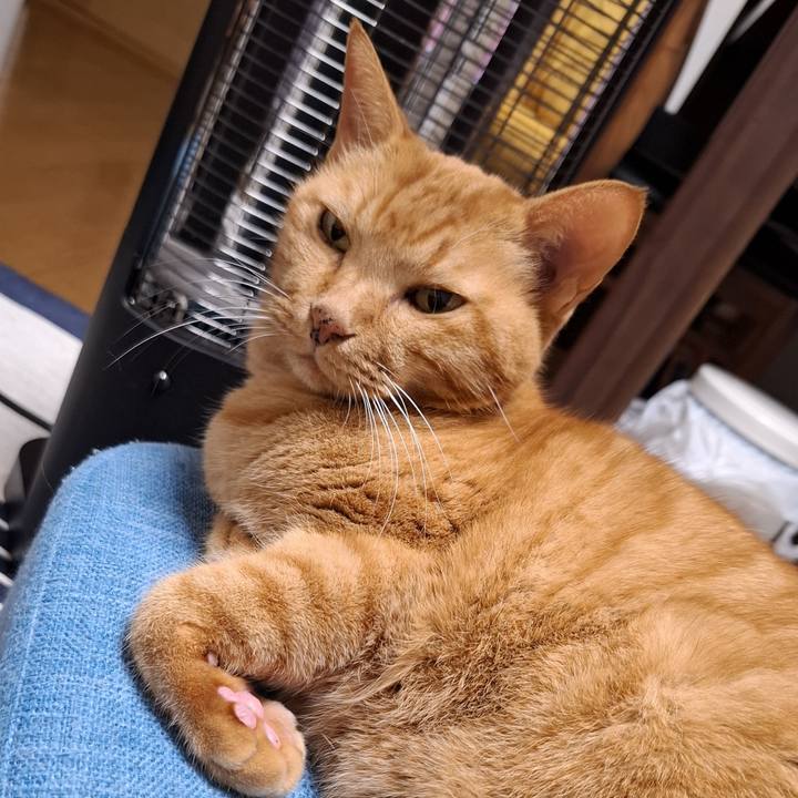 4819e5d5 b91c 4728 9e30 2d156d8ff4c4 1733375190325