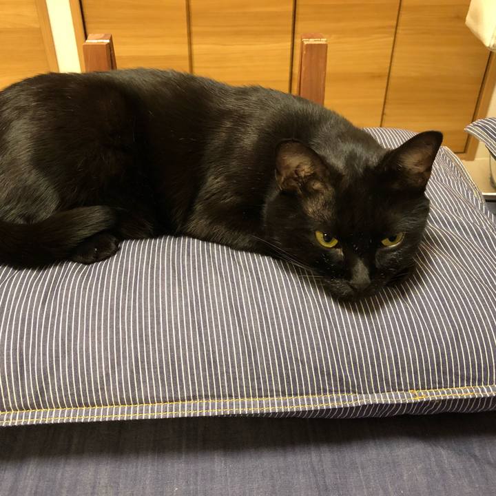 481a0a12 88ee 41b2 a4a5 a84bec2876db 1510759733369