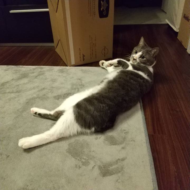 481a10a6 e73a 4d8e 9aa1 e60f2fb74422 1612353315850