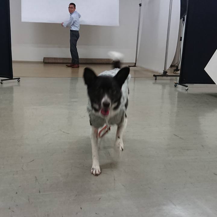 481a3135 b0fd 4ceb 9151 80f5e23298f5 1526997985484