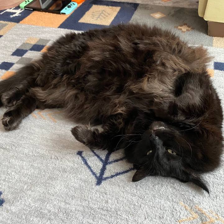 481a67a4 28b0 46fc 9e64 55c5b4adc1cd 1615375505245