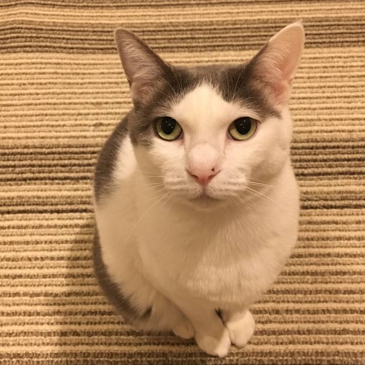 481a723a b889 4912 9b6b 2bb4a7ae662e 1521328226976