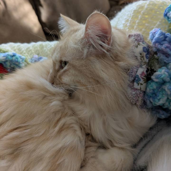 481aba35 e8e1 46d0 91e7 18d045fe9fc3 1763269739109