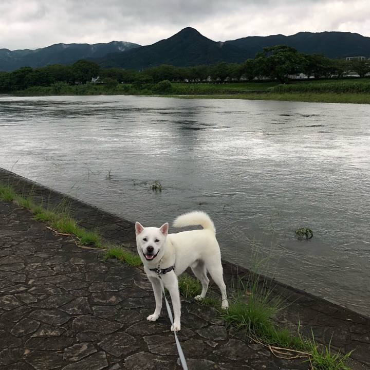 481ad593 4aec 4039 b705 acbe7418b53e 1594335947165