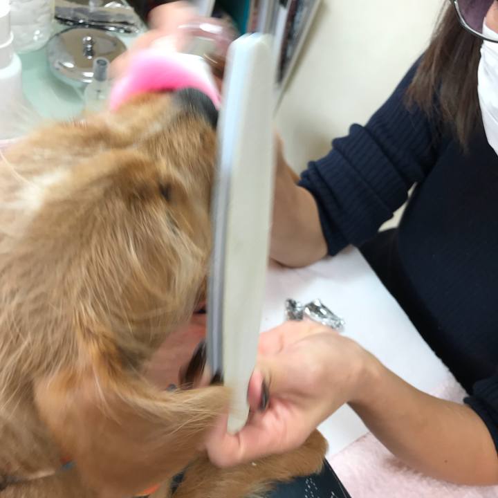 481ae4fb 379e 4e80 b453 a99a62d4f922 1520478304862