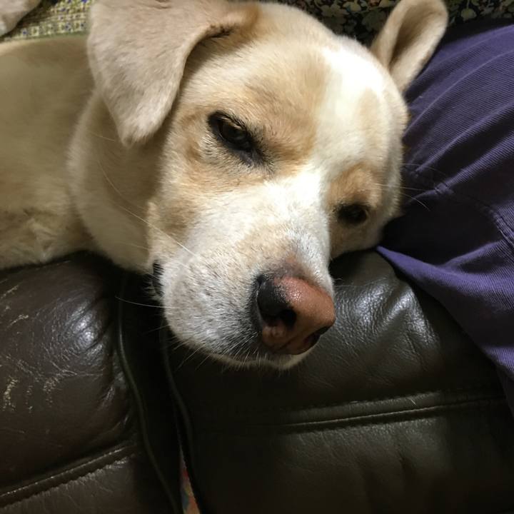 481aec84 2f1d 4d00 a964 8579c3a820cf 1538837006606