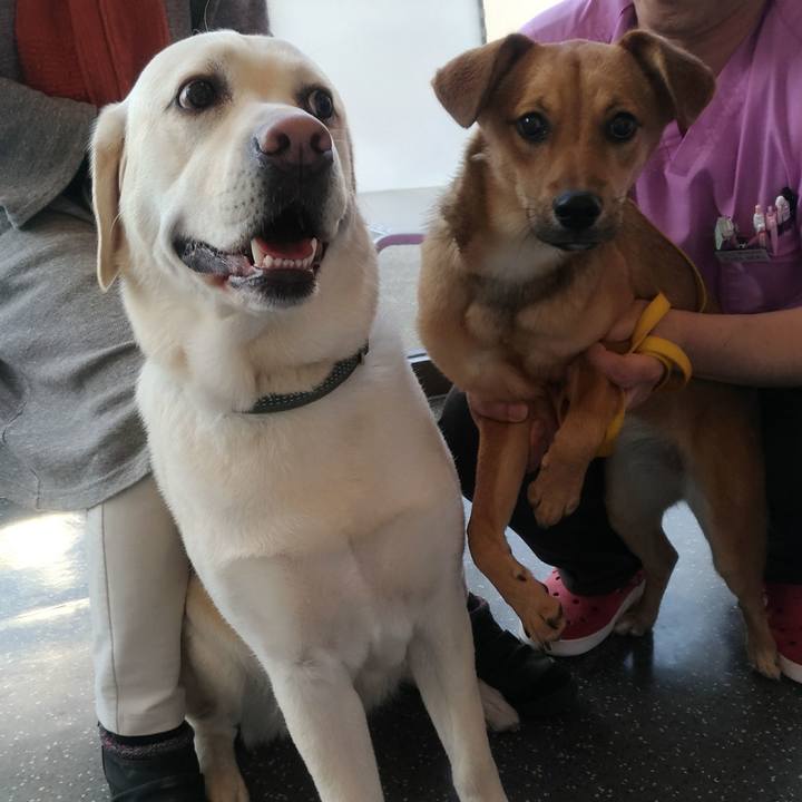 481b157f 0a36 4939 b859 fc25371036be 1522485299825