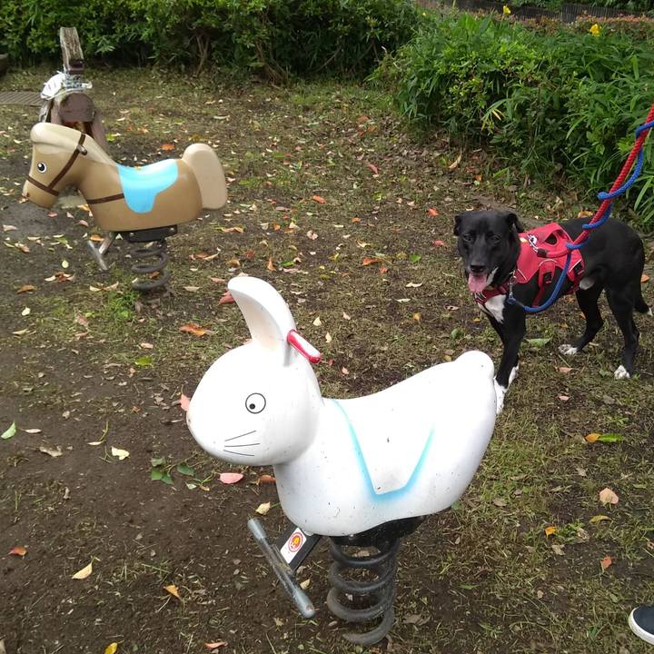 481b199d 7563 462a a06a 20a9ea7bbf62 1594856877950