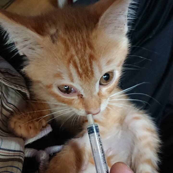 481b2af9 d1bb 4bb7 be1c 2fb78fbeb3d1 1629064199002