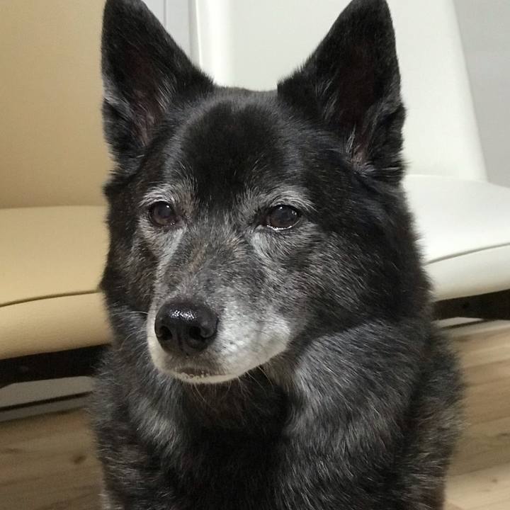 481b6c8a 6df1 4431 8e2d 7a8fea13ce65 1580474435469