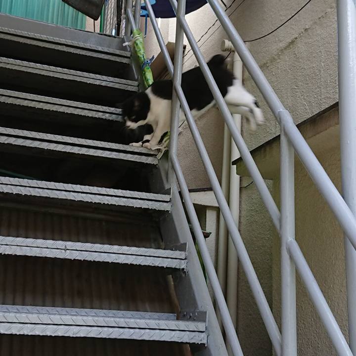 481b7fe1 c229 4b6a ae0b 2376e8c46bc5 1529366328416