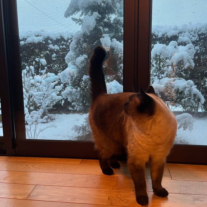 481b89a0 b9a0 45e6 8223 017b23e7a3ad 1642113535371