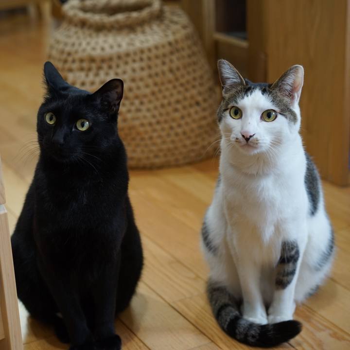 481b9255 989a 4f8f 8219 2cfbab860ef2 1555457356431