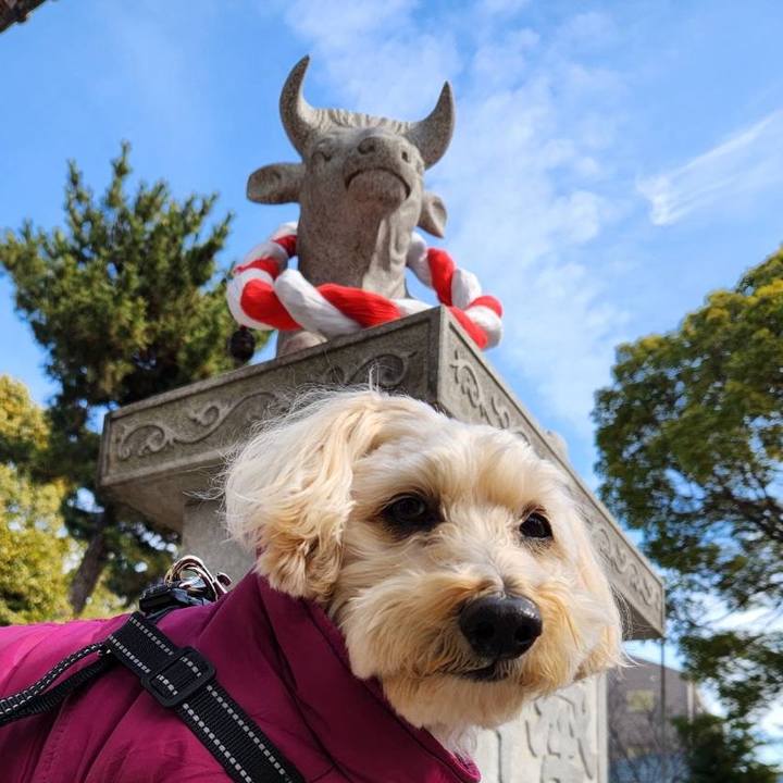 481b9a4f 071d 45b9 84c8 71dbc5600b9c 1770699219704