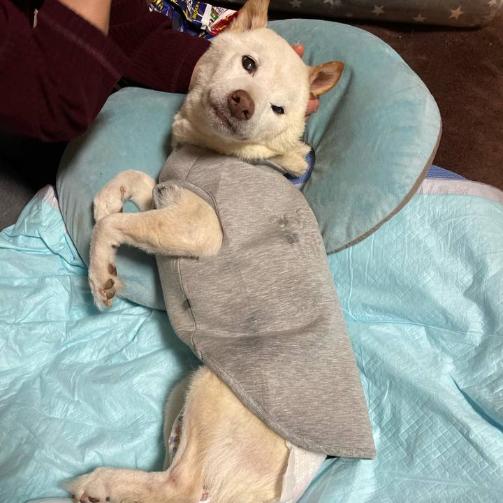 481bfc55 50a1 4a8e a5a5 c204b9c8acfa 1670151853791