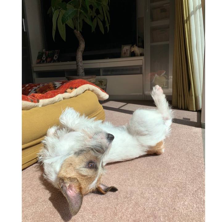 481bfcc3 cfce 4a21 8119 f5d30772d0e7 1584332879369