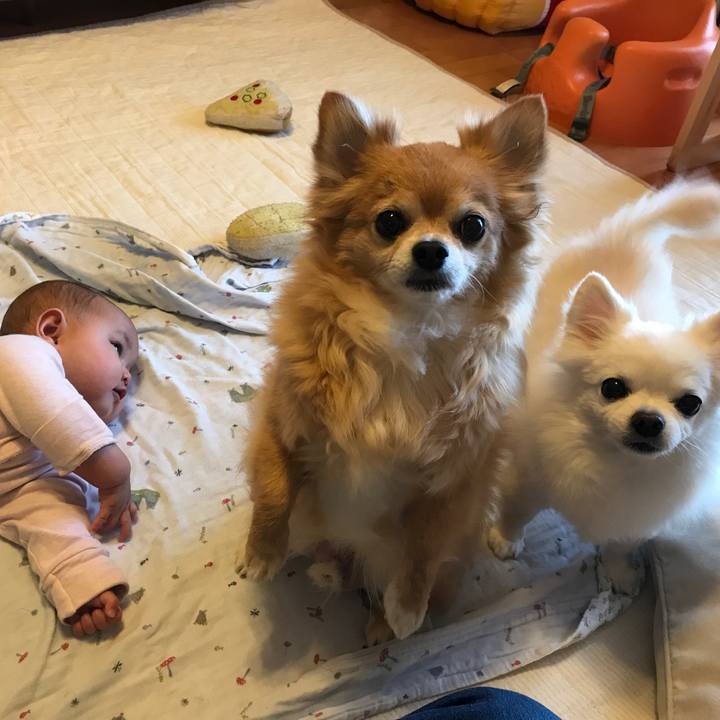 481c2c0e 18d4 4717 8393 4bd556678944 1520559103436