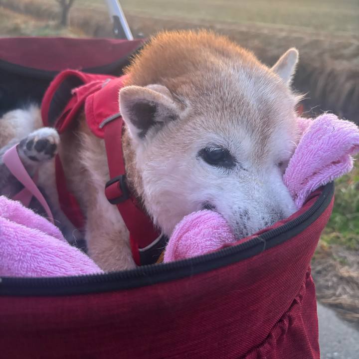 481c3134 ce7c 4baf bee5 d4a35da351a0 1766443521730